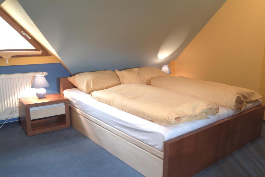 Апартаменты (Двухуровневые апартаменты), Penzion u Pejtrika