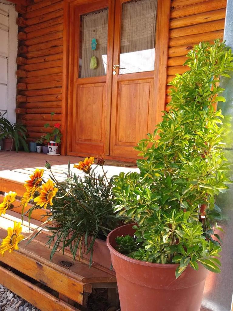cabaña la casa del arbol photo 3