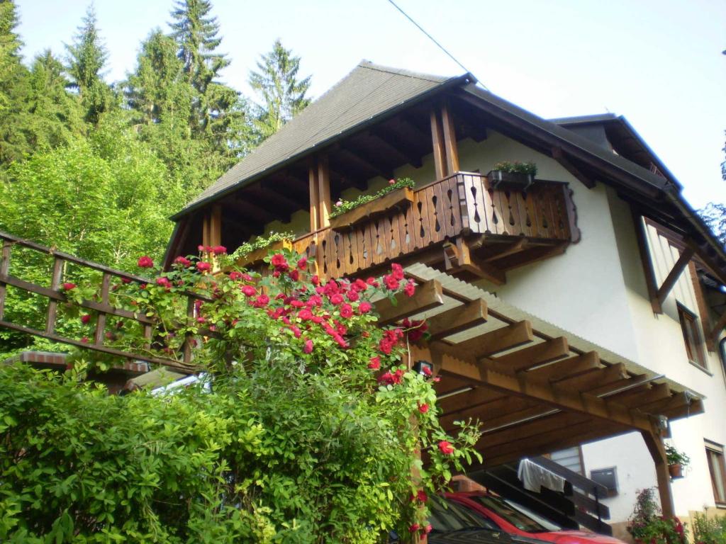 Haus am Bach photo 1