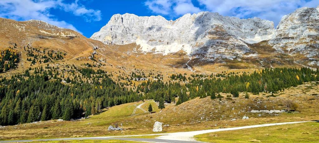 IL RISVEGLIO photo 3