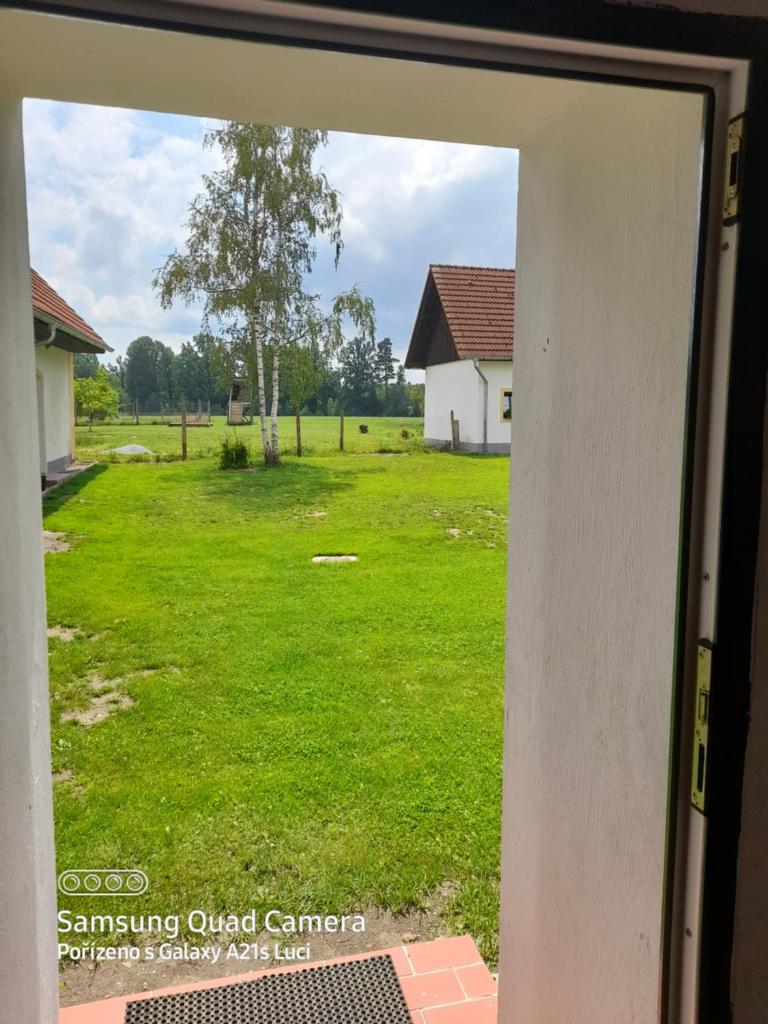 Kojan photo 2