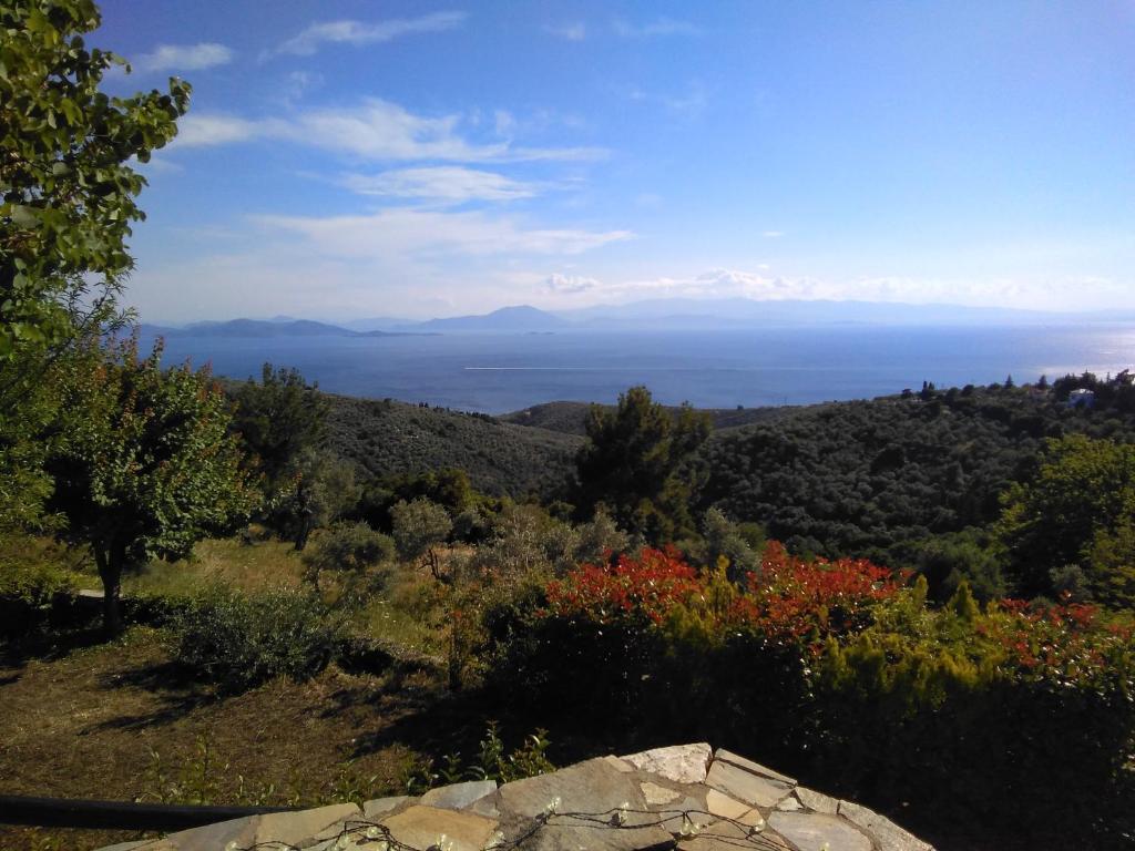 Holiday House- Afetes Pelion -Αφέτες Πηλίου photo 3