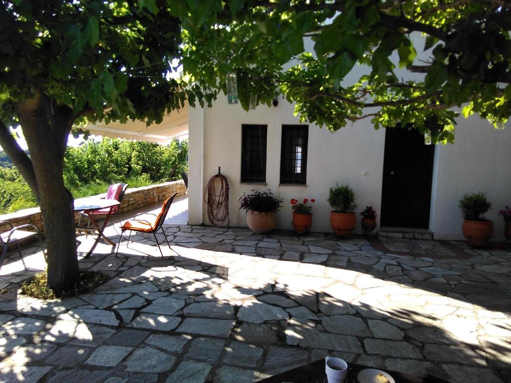 Holiday House- Afetes Pelion -Αφέτες Πηλίου photo 4
