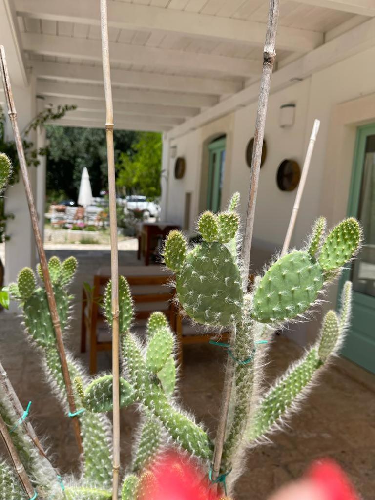 Il Giardino degli Antichi Sapori photo 4