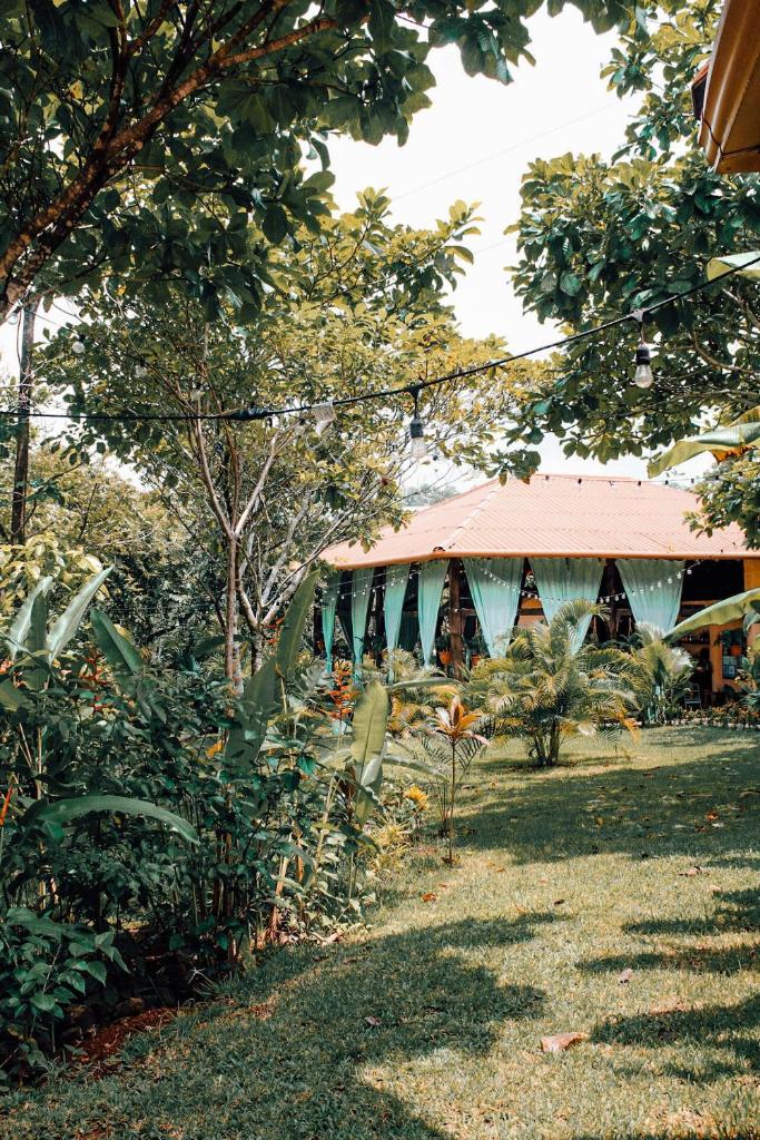 Villa Coco photo 4