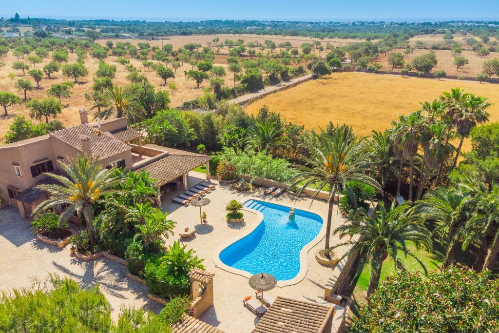 Finca Jardi photo 2