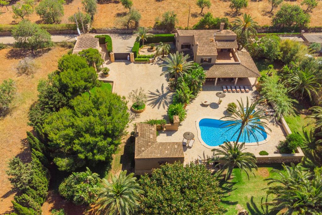 Finca Jardi photo 1