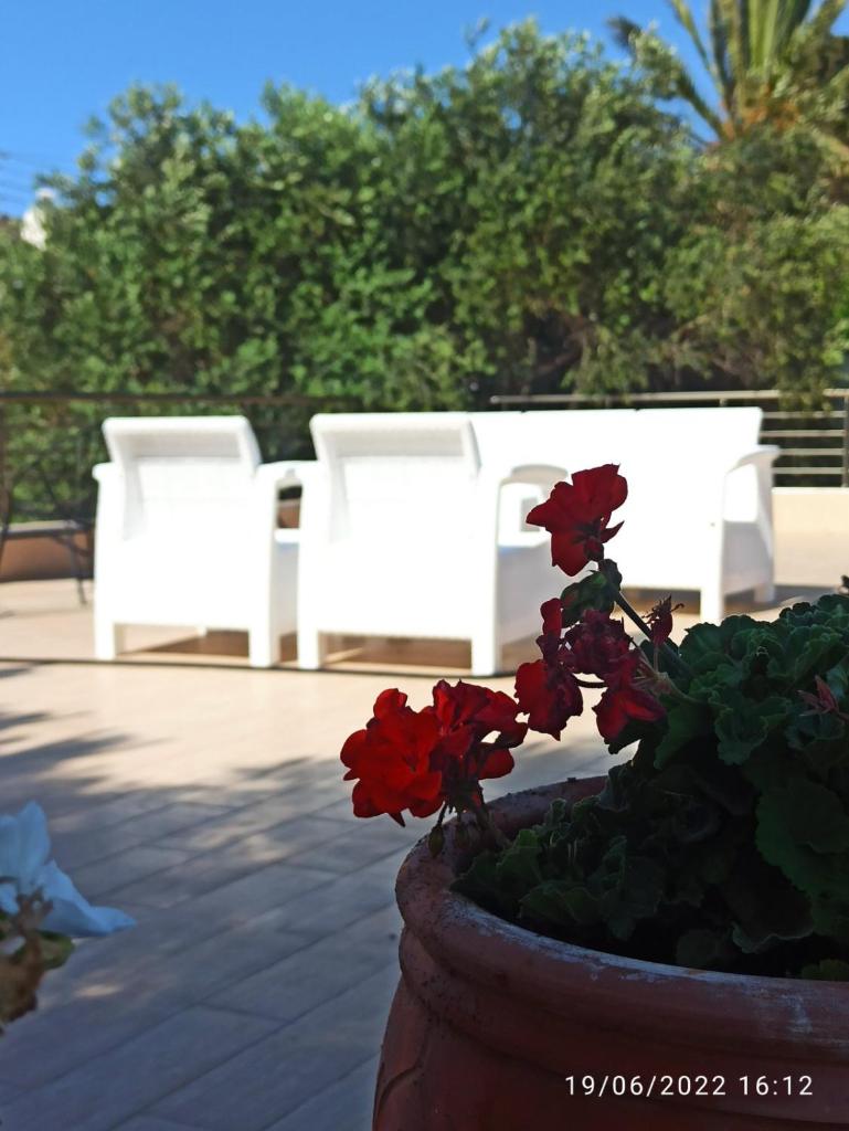 Sunset Guest House photo 3