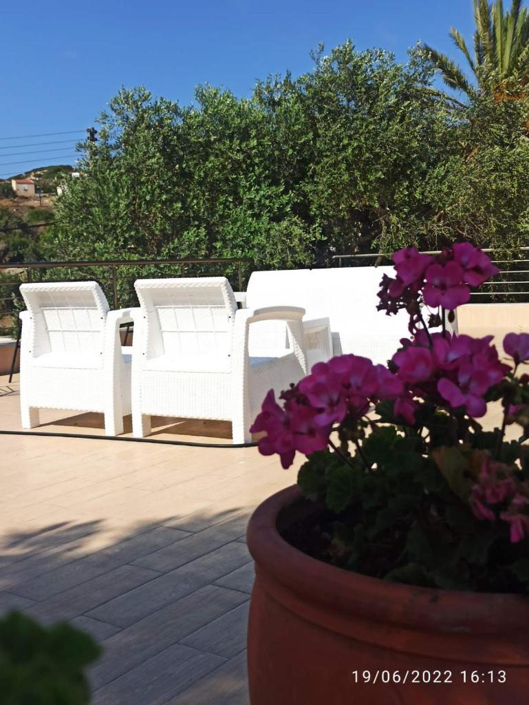 Sunset Guest House photo 1