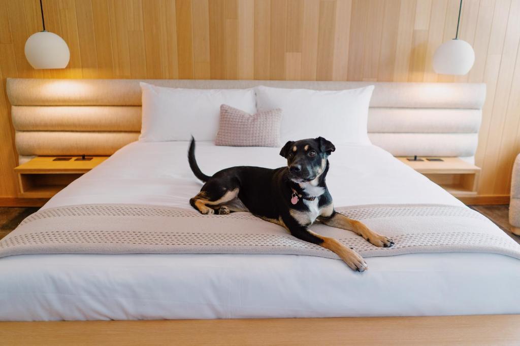 Azure Sky Hotel - Adults Only photo 1