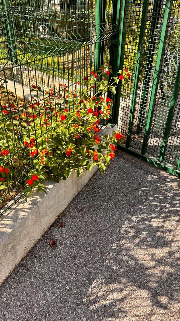 Le Val d'Azur photo 1