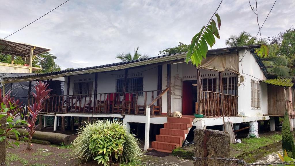 Los cocos Hostal