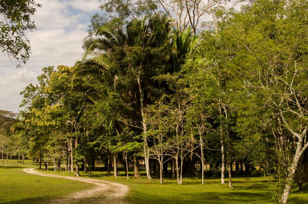 Parque Natural Ixpanpajul photo 4