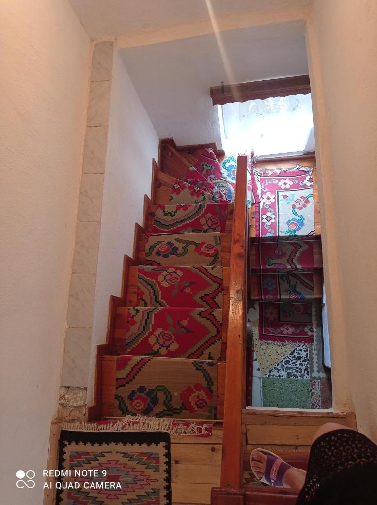 Guest House Salaria photo 4