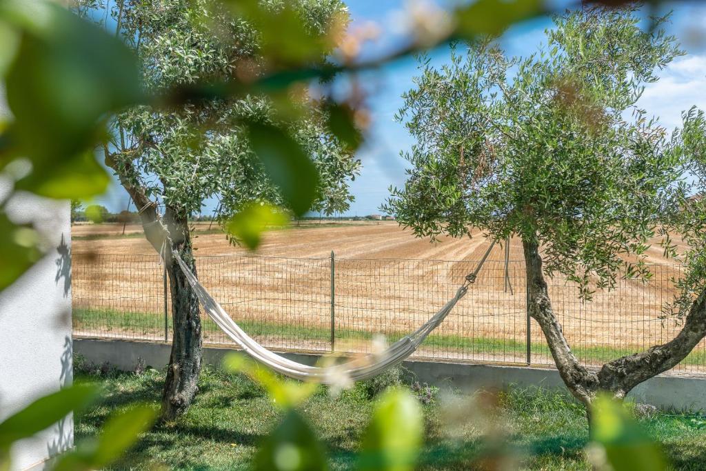 OrtoPì Country Canapa House photo 3