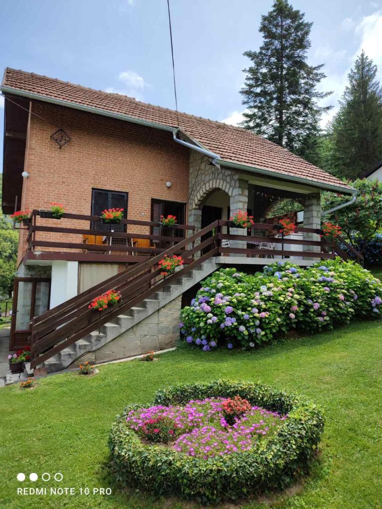 Apartman Jovanovic-Rudnik