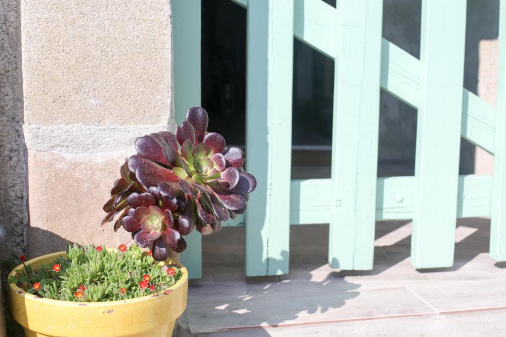 La Maison de Lucile photo 2