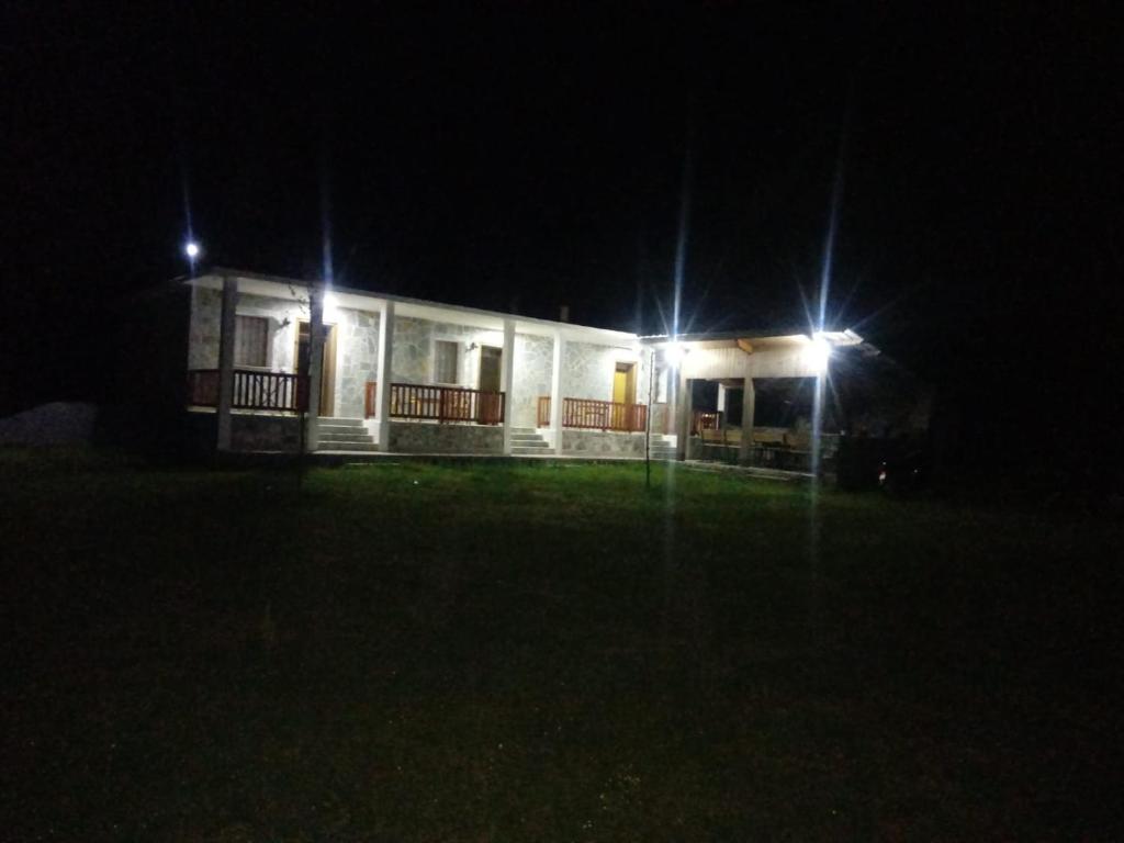 Buni Shqipes photo 1