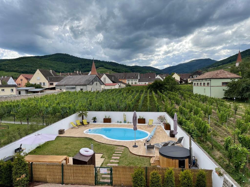 Alsacebnb - Gîte 12 personnes dans le vignoble - Piscine privée chauffée & Spa photo 1