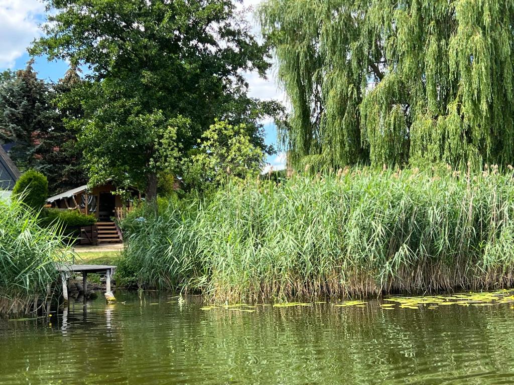 'Glamping' Angelzelt am See mit Steg und Boot (Mecklenburger Seenplatte) photo 1