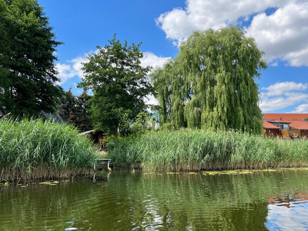 'Glamping' Angelzelt am See mit Steg und Boot (Mecklenburger Seenplatte) photo 2