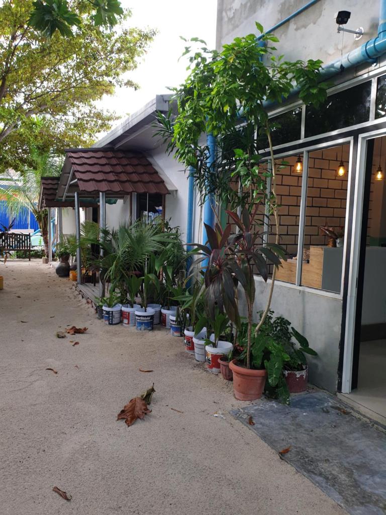 Maafushi View photo 3