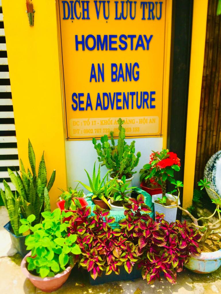 An Bang Sea Adventure Homestay Hoi An