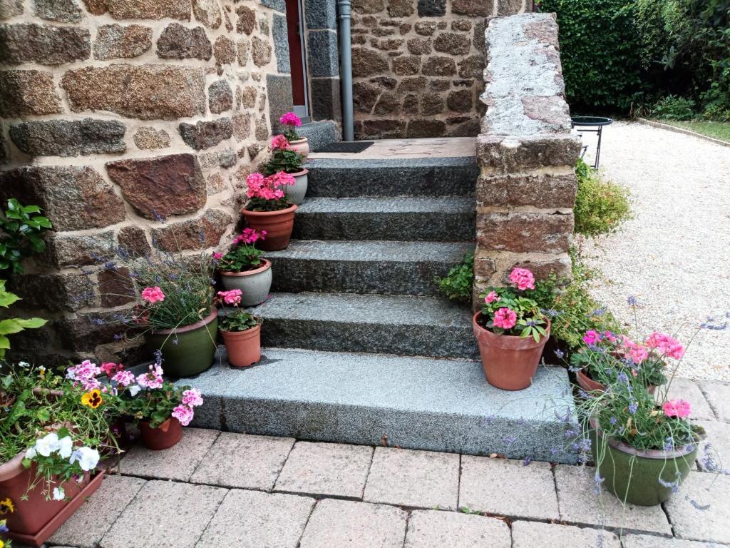 Villa La Côte du Chat 3* en Bretagne romantique photo 4