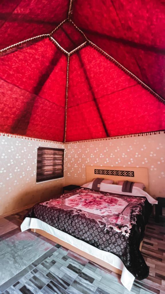 Wadi Rum Nature Tours And Camp photo 1