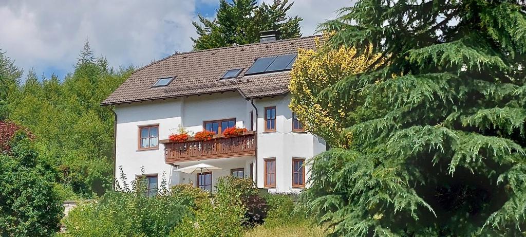 Ferienwohnung Wulf photo 1