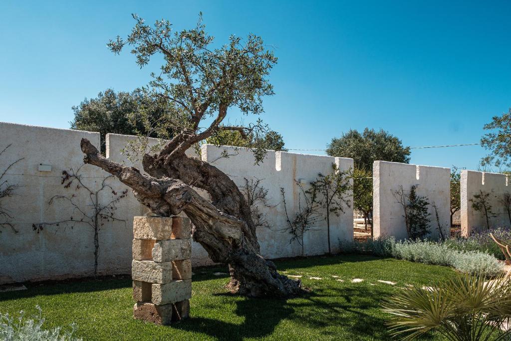 VILLA AL MARE sea, relax & wellness photo 3