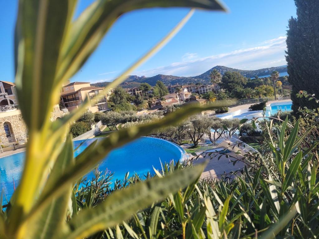 Superbe studio 4/5 pers dans résidence cap esterel photo 1
