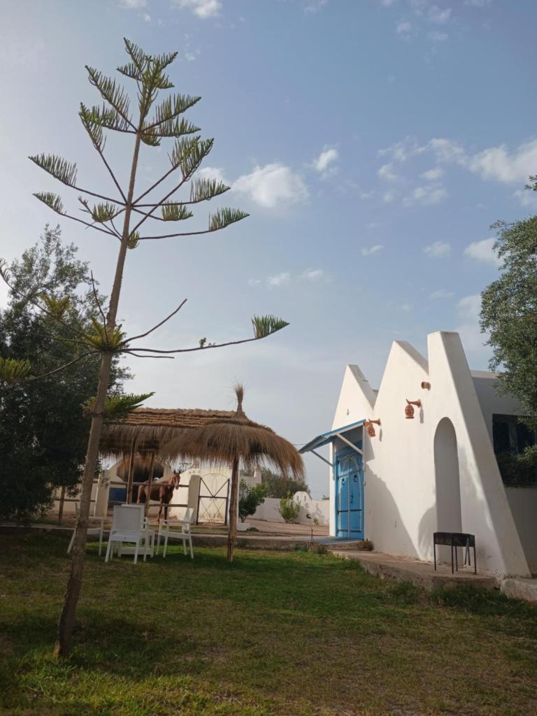 Nouveau Bungalow Djerba photo 4