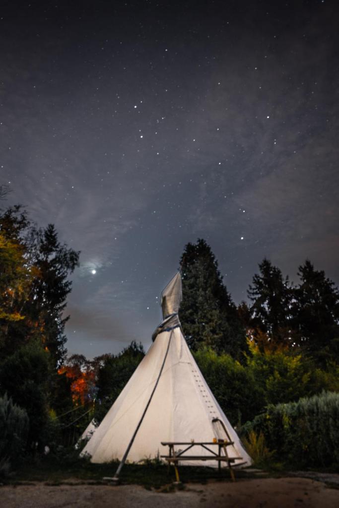 Arkeo - Luxury tents and cabins at the river photo 1