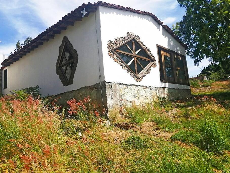 Casa Montagnola: naturaleza y tranquilidad photo 1