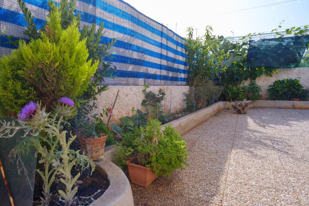 Villa Fiorita photo 3