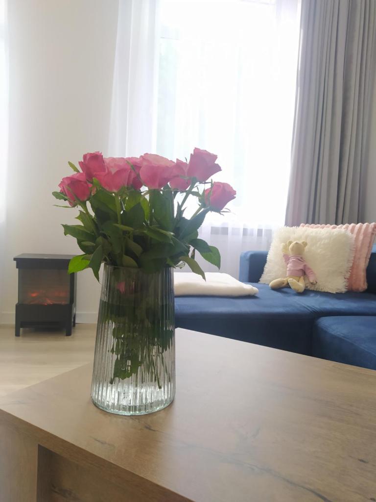 Apartament FANABERIA Lądek Zdrój photo 3