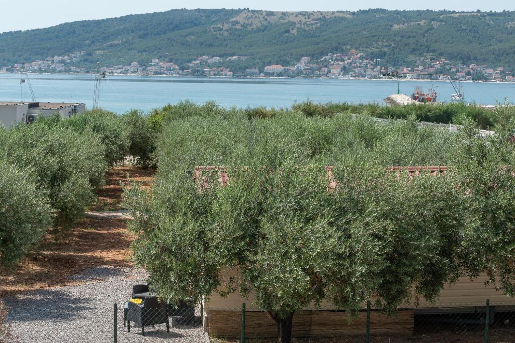 'Olive grove' Camping House-near the beach photo 1