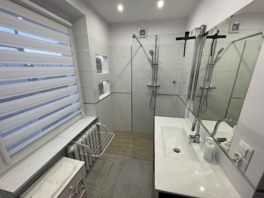 Apartament Regina photo 3