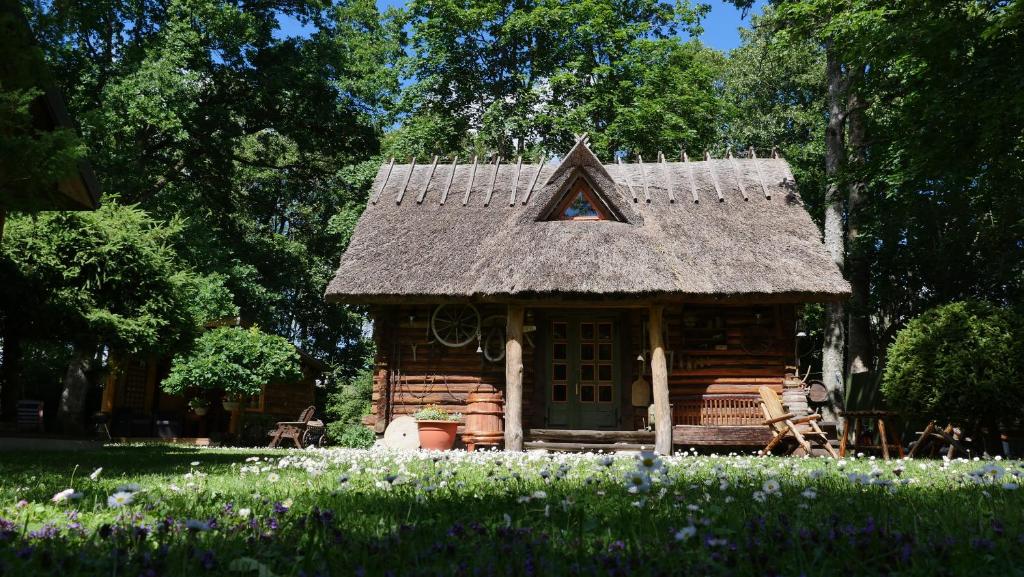 Veski Aida Holiday Home photo 4