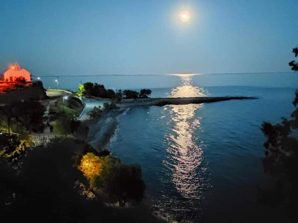 BAY DIVINO photo 1