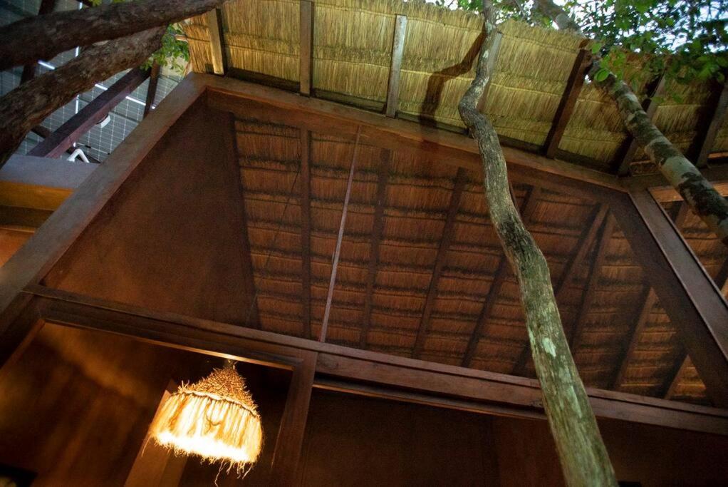 OJO DE ÁRBOL, boutique cabin in the real jungle, Cozumel