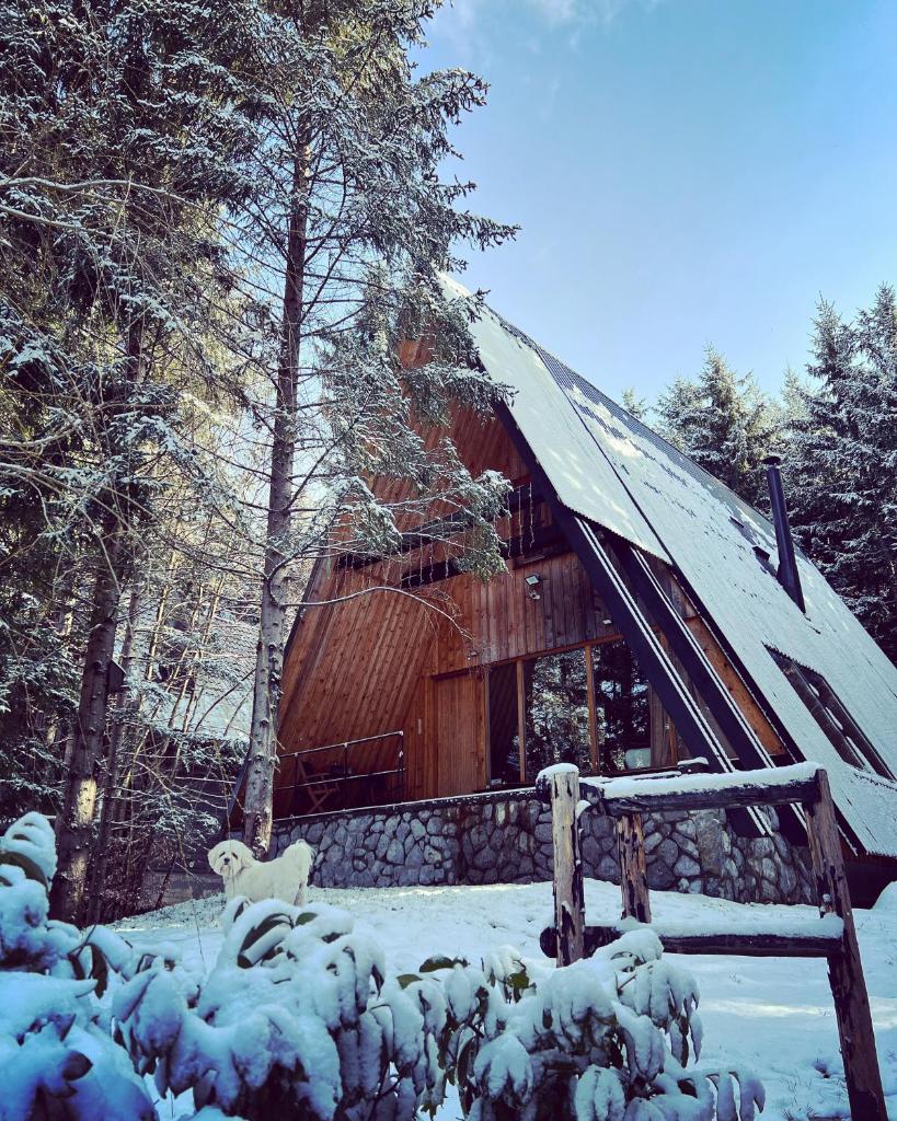 Forest House Stella - A frame cabin