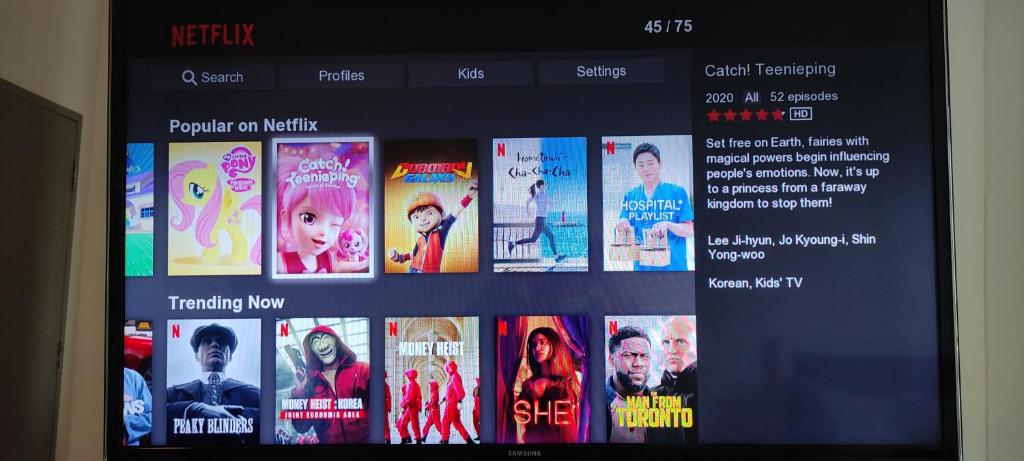 Evo Soho Bangi With WiFi and Netflix photo 1