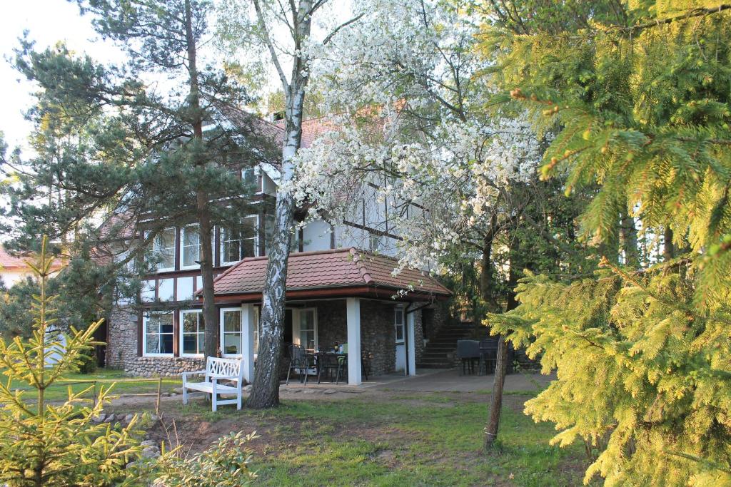 Villa Rosa photo 4