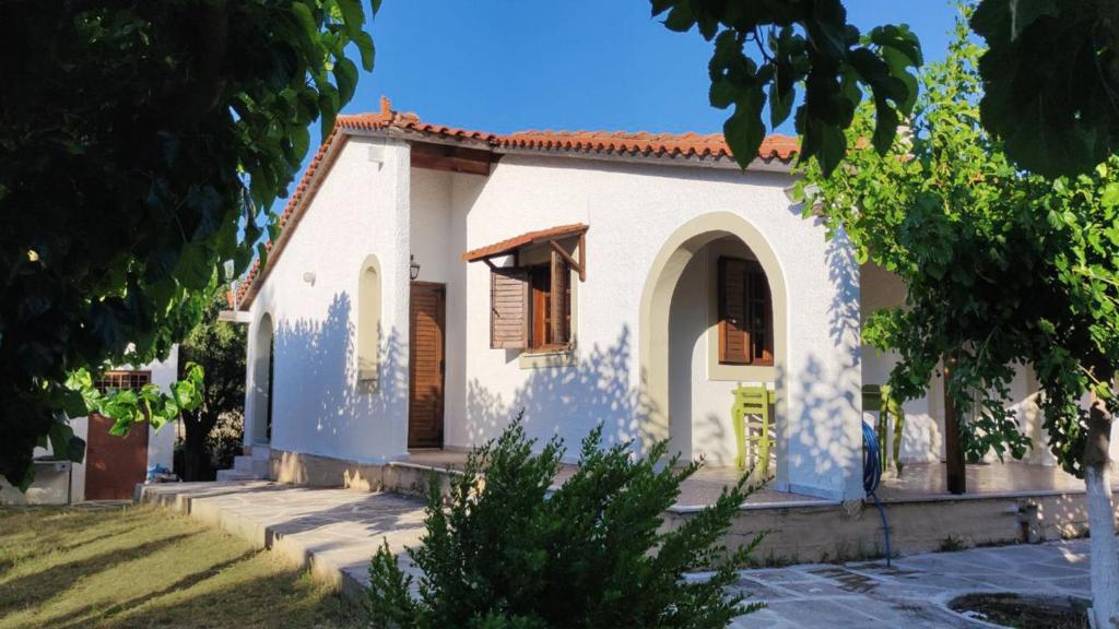 Dyada Home photo 2
