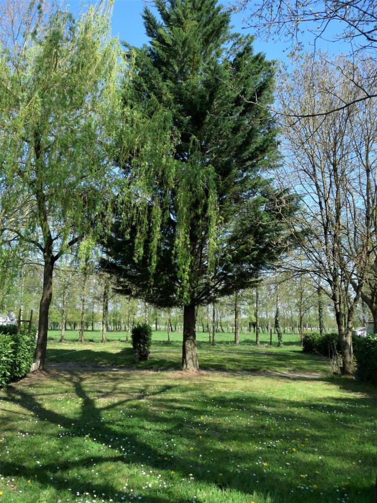L'Oasis des Dombes photo 3