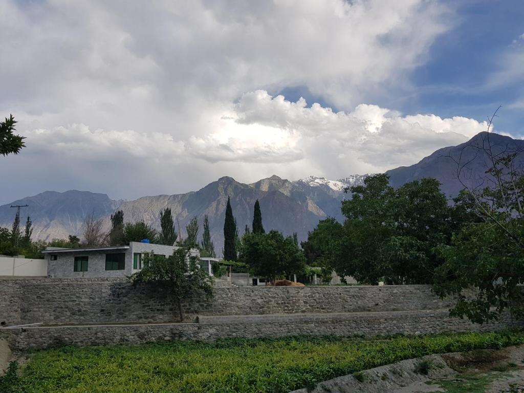 Ehsan-e-Bassi photo 2