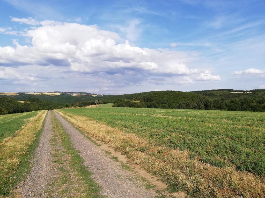 Ferienwohnung Altmaier - Ferien auf dem Lande photo 4