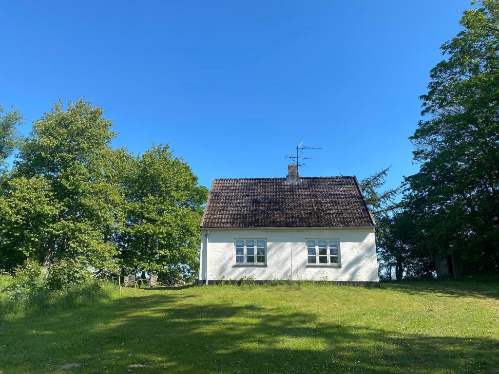 Bondehus - Dansk bondehus med patina photo 3